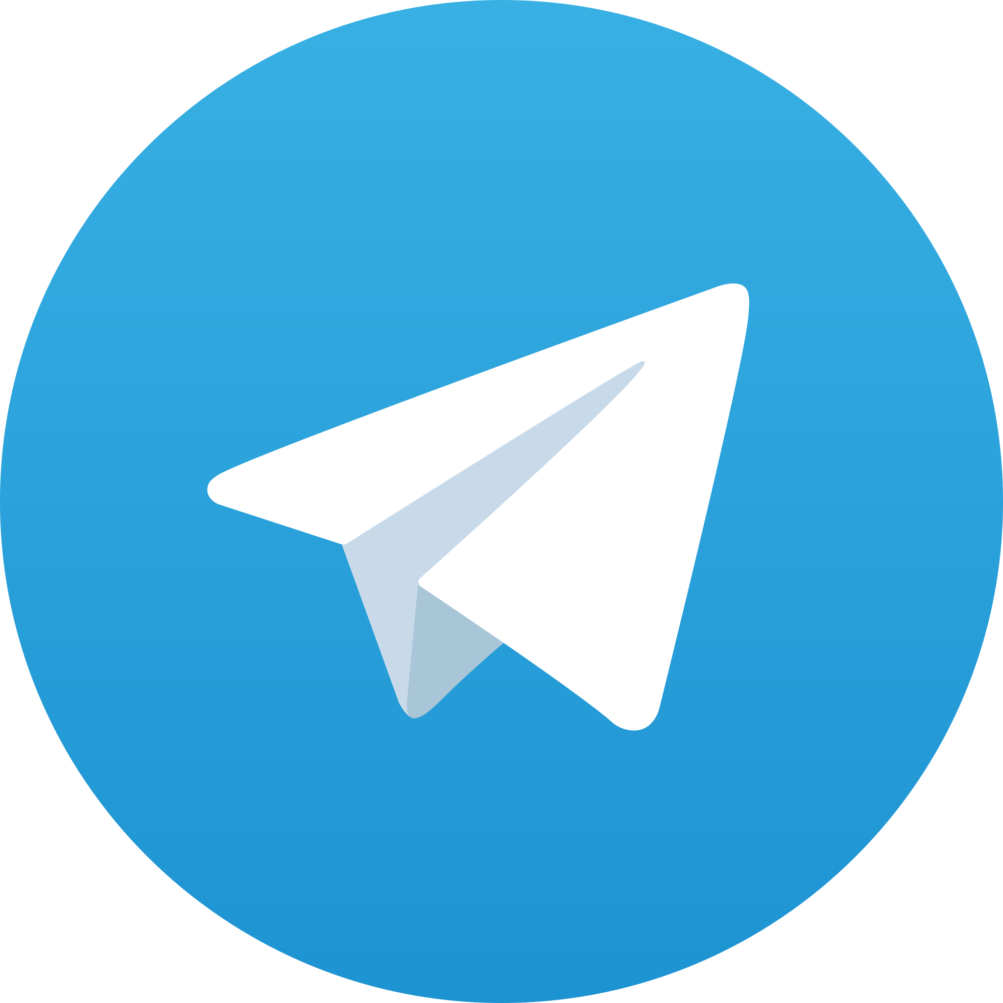 Telegram (iOS)